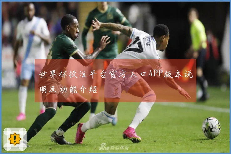世界杯投注平台官方入口APP版本说明及功能介绍