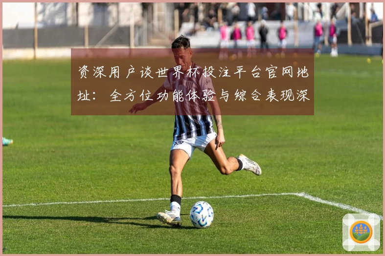资深用户谈世界杯投注平台官网地址：全方位功能体验与综合表现深度评测