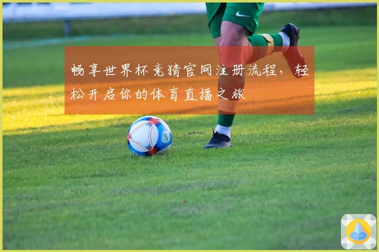 畅享世界杯竞猜官网注册流程,轻松开启你的体育直播之旅