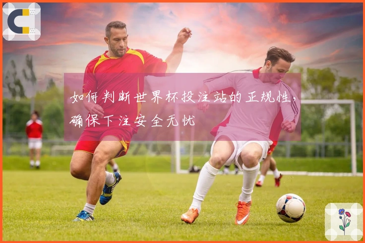 如何判断世界杯投注站的正规性,确保下注安全无忧