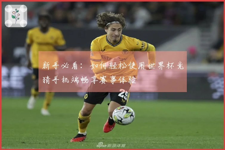 新手必看:如何轻松使用世界杯竞猜手机端畅享赛事体验