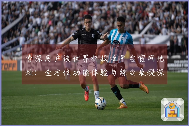 资深用户谈世界杯投注平台官网地址：全方位功能体验与综合表现深度评测