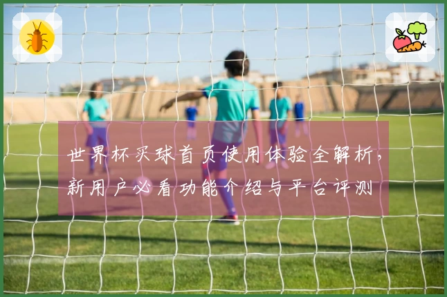世界杯买球首页使用体验全解析,新用户必看功能介绍与平台评测