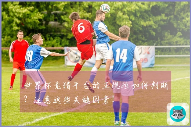 世界杯竞猜平台的正规性如何判断?注意这些关键因素!