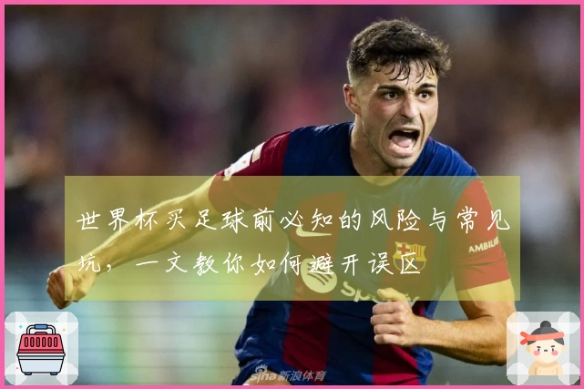 世界杯买足球前必知的风险与常见坑，一文教你如何避开误区