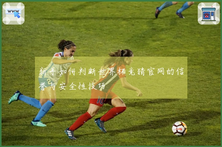 新手如何判断世界杯竞猜官网的信誉与安全性技巧