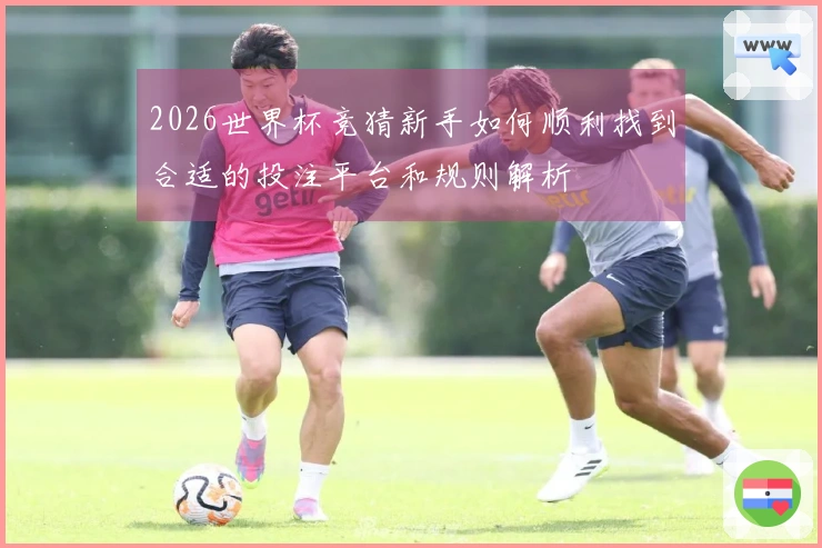 2026世界杯竞猜新手如何顺利找到合适的投注平台和规则解析